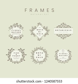 Set of botanical frame design elements vector