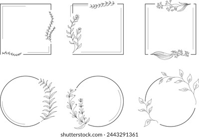 set of botanical frames or borders, hand drawn, line art