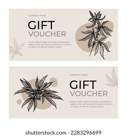 Un conjunto de plantillas botánicas de certificados de regalo. Hojas de cannabis médico en el fondo. Plantas