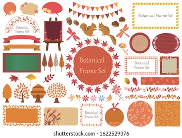 Set of botanical graphic elements and frames isolated on a white background. Vector illustration.