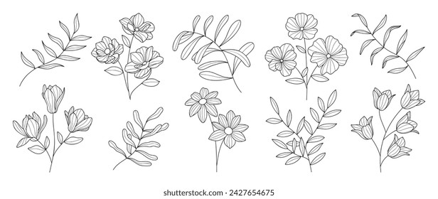 Establecer el vector botánico del elemento dibujado a mano. Colección de follaje, rama, floral, hojas, flores silvestres en arte de línea. Diseño de ilustración de flores de estilo minimalista para logotipo, boda, invitación, decoración.