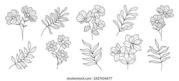 Set botanical hand drawn element vector. Collection of foliage, branch, floral, leaves, wildflower in line art. Minimal style blossom illustration design for logo, wedding, invitation, decor.