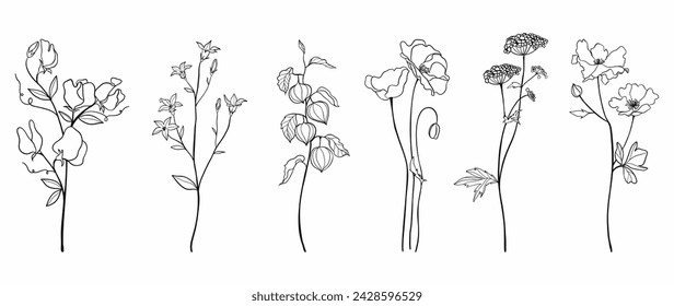 Set botanical hand drawn element vector. Collection of foliage, branch, floral, leaves, wildflower in line art. Minimal style blossom illustration design for logo, wedding, invitation, decor.