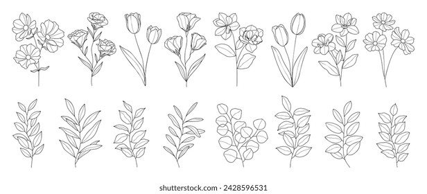 Set botanical hand drawn element vector. Collection of foliage, branch, floral, leaves, wildflower in line art. Minimal style blossom illustration design for logo, wedding, invitation, decor.