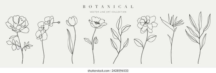 Establecer el vector botánico del elemento dibujado a mano. Colección de follaje, rama, floral, hojas, flor silvestre en una línea de arte.