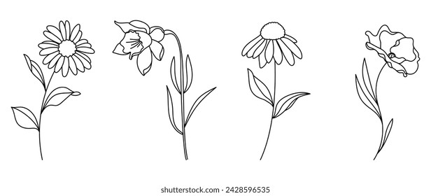 Establecer el vector botánico del elemento dibujado a mano. Colección de follaje, rama, floral, hojas, flores silvestres en arte de línea. Diseño de ilustración de flores de estilo minimalista para logotipo, boda, invitación, decoración.