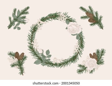 Set with botanical hand drawn isolated elements. Christmas vector collection. Bouquets and  wreath with fir branches and cones, dusty miller, white roses. Pattern on a white background. Pastel color