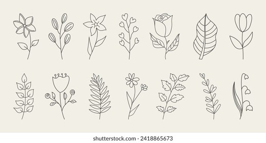 Set of botanical hand drawn leaves, branches, and blooming flowers vector.