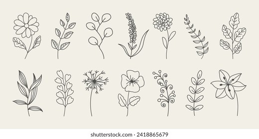 Set of botanical hand drawn leaves, branches, and blooming flowers vector.