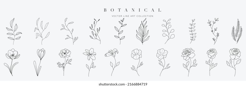 Set botanical hand drawn vector element. Collection of foliage, leaf branch, floral, flowers, roses, lily in line art. Minimal style blossom illustration design for logo, wedding, invitation, decor.