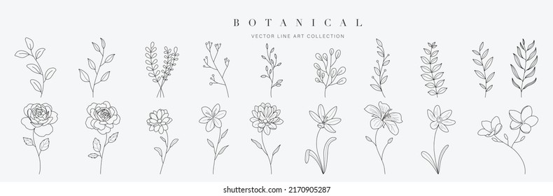 Establecer el elemento vector dibujado a mano botánico. Colección de follaje, bifurcación de hojas, floral, flores, rosas, lirio en línea de arte. Diseño de ilustraciones de flores de estilo minimalista para logo, boda, invitación, decoración.