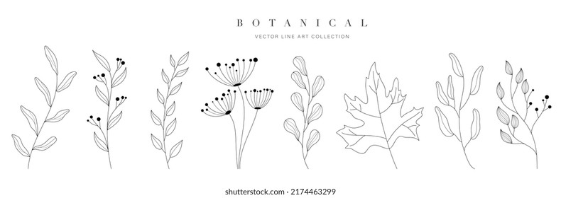Set botanical hand drawn vector element. Collection of foliage, leaf branch, floral, flowers, roses, lily in line art. Minimal style blossom illustration design for logo, wedding, invitation, decor.
