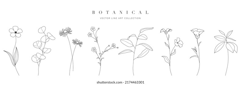 Set botanical hand drawn vector element. Collection of foliage, leaf branch, floral, flowers, roses, lily in line art. Minimal style blossom illustration design for logo, wedding, invitation, decor.