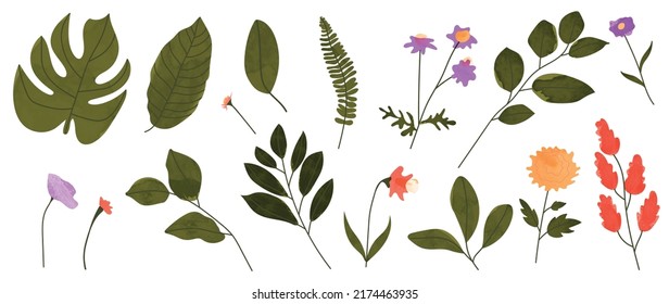 Establecer el elemento vector dibujado a mano botánico. Colección de follaje, rama de hoja, floral, flores, flores silvestres en acuarela. Diseño de ilustraciones de flores tropicales para logo, boda, invitación, decoración.