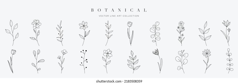 Establecer el elemento vector dibujado a mano botánico. Colección de follaje, bifurcación de hojas, floral, flores, rosas, lirio en línea de arte. Diseño de ilustraciones de flores de estilo minimalista para logo, boda, invitación, decoración.