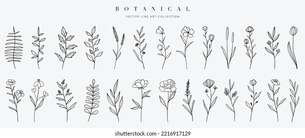 Establecer el elemento vector dibujado a mano botánico. Colección de follaje, bifurcación de hojas, flores, hierbas, flores silvestres en línea de arte. Diseño de ilustraciones de flores de estilo minimalista para logo, boda, invitación, decoración.