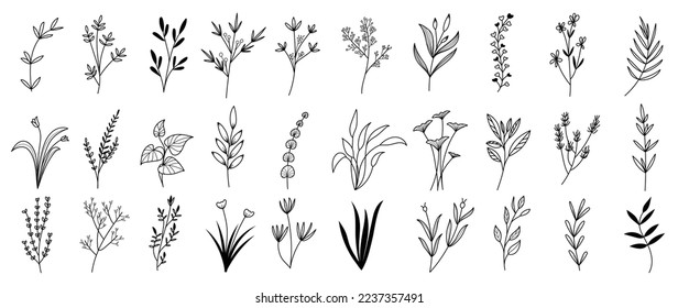 Set botanical hand drawn vector element. Collection of foliage, leaf branch, floral, flowers, wildflower in line art. Minimal style blossom illustration design for logo, wedding, invitation, decor.