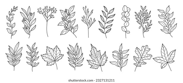 Set botanical hand drawn vector element. Collection of foliage, leaf branch, floral, oak, maple leaves in line art. Autumn season blossom illustration design for logo, wedding, invitation, decor.