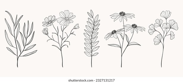 Set botanical hand drawn vector element. Collection of foliage, leaves branch, flower, floral, ginkgo leaf in line art. Autumn season blossom illustration design for logo, wedding, invitation, decor.