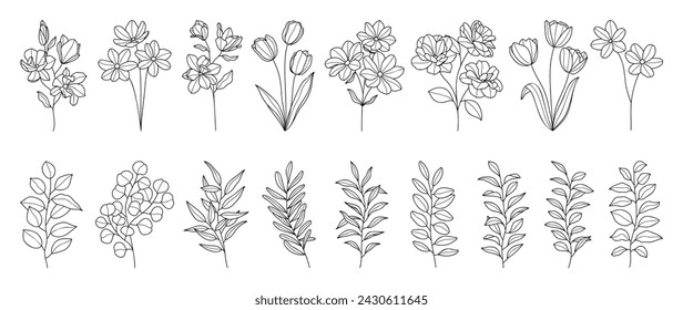 Establecer elemento vectorial dibujado a mano botánico. Colección de follaje, rama, floral, hojas de eucalipto, tulipán en arte de línea. Diseño de ilustración floral de estilo minimalista para logotipo, boda, invitación, decoración.