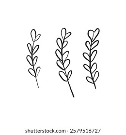 Set botanical hand drawn vector branches. Heart leaf branch. Sketchy style blossom illustration design for invitation, decor.