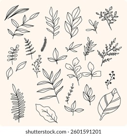 Set botanical hand drawn vector element. Collection of foliage, leaf branch, floral, flowers, roses, lily in line art