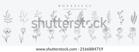 Similar – Image, Stock Photo a rose is a rose Animal