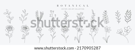 Similar – Image, Stock Photo a rose is a rose Animal