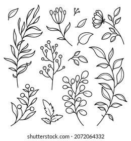 Set of botanical leaf doodle hand drawn vector illustration