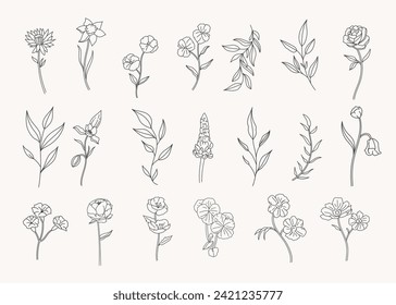 Set of botanical leaf doodle line art hand drawn floral decorative elements