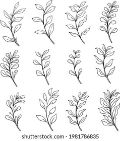 set botanical leaf doodle wildflower line art