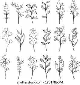conjunto de arte de la línea de flores silvestres del doodle de hojas botánicas