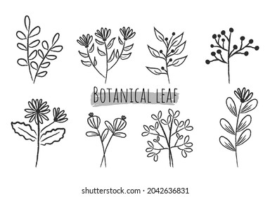 Set of botanical leaf doodle wildflower line art