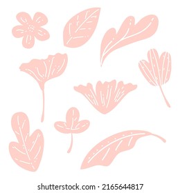 Set of botanical leaf doodle wildflower