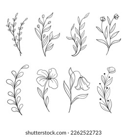 set of botanical leaf doodle wildflower Botanical line art drawings collection