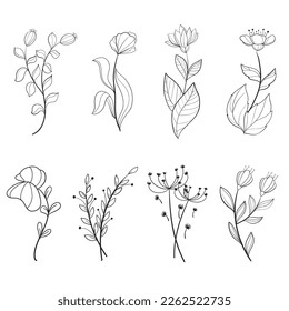 Satz botanischer Blattdoodle-Wildblume Botanische Linien-Zeichnungen