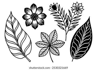Set of botanical leaf doodle wildflower with vector silhouette illustration