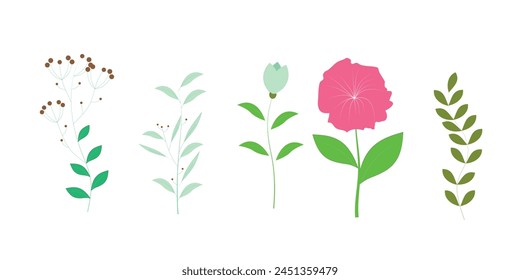Set of botanical leaf and flowers. Vector illustration isolated on white background

