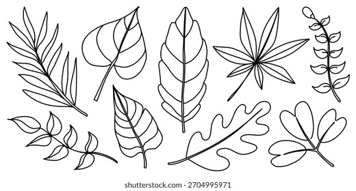 Conjunto de ilustraciones de hojas botánicas en línea minimalista en blanco y negro, mostrando diversas formas de hojas para proyectos de diseño, decoración y marca