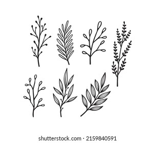 Set of botanical leaf line art vector