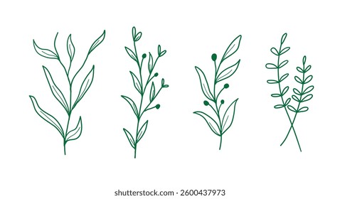 set of botanical leaf vector