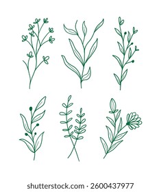 set of botanical leaf vector