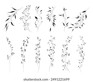 Set of botanical leaves branches with hand drawn in line art. Floral outline element, vector illustration suit for design of tattoo, logo, invitations, or greeting cards.