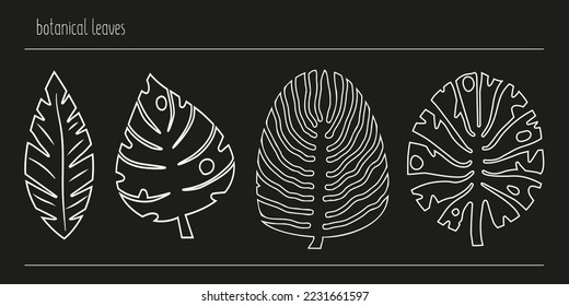 Set of botanical leaves drawing, vector botanical illustrations, monstera leaves, logos, natural line art.