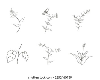 Set of botanical leaves in line art style. Set of flowers outline in hand drawn style. Nature
