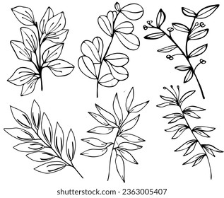 Conjunto de Rama de Arte de Línea Botánica Sale del Vector. Hojas dibujadas a mano Doodle. Esquema deja la ilustración