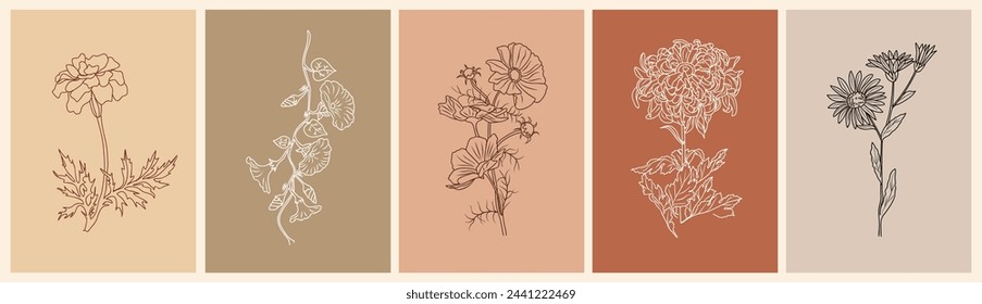 Set of botanical line art drawings of autumn birth month flowers, marigold, morning glory, chrysanthemum, aster, cosmos. Vector sketch isolated on terracotta colors backgrounds. Card, poster template.