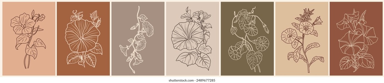 Conjunto de dibujos de arte línea botánica de otoño septiembre mes de nacimiento flores, mañana gloria, Petunia. Boceto de Vector aislado en fondos de colores de terracota. Tarjeta, arte de pared, Plantilla de póster.