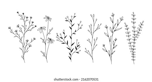 Set of botanical line art floral leaves, plants. Hand drawn sketch branches isolated on white background. Vector illustration