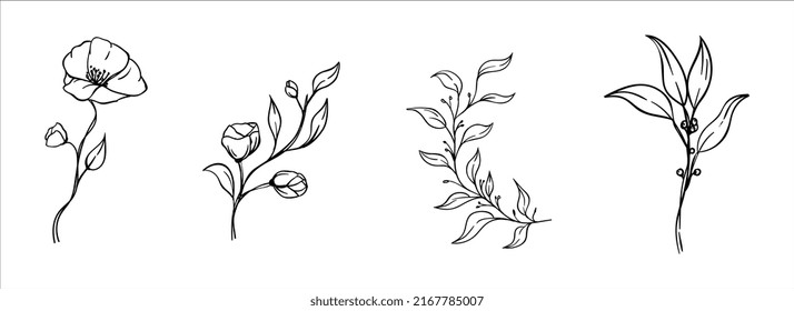 Set of botanical line art floral leaves, plants. Hand drawn sketch branches isolated on white background. Vector illustration
